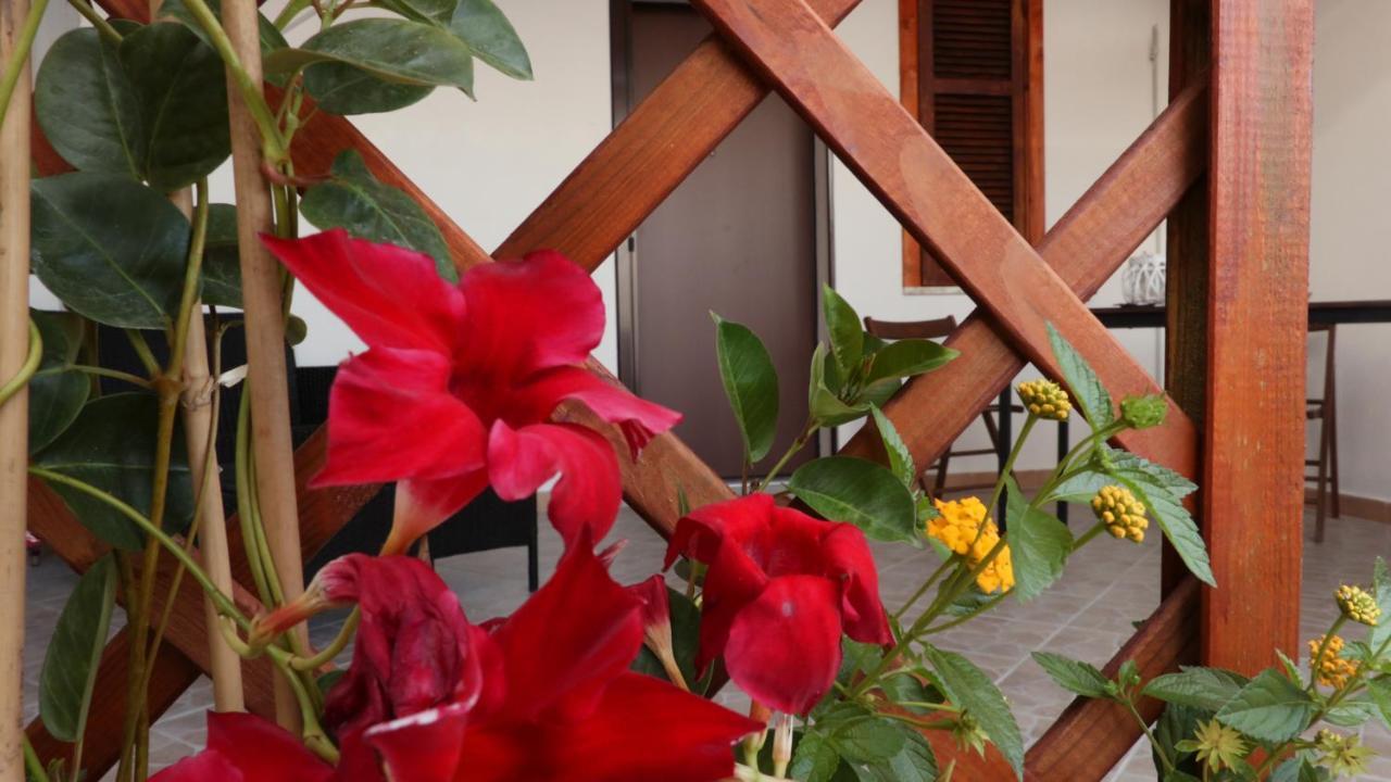 צ'טרארו B&B Verzavo מראה חיצוני תמונה