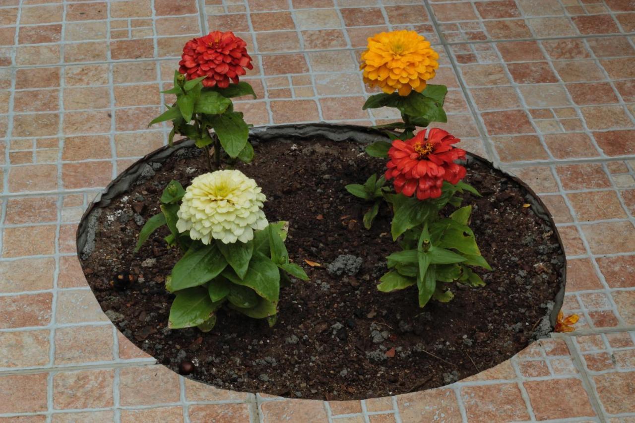 צ'טרארו B&B Verzavo מראה חיצוני תמונה