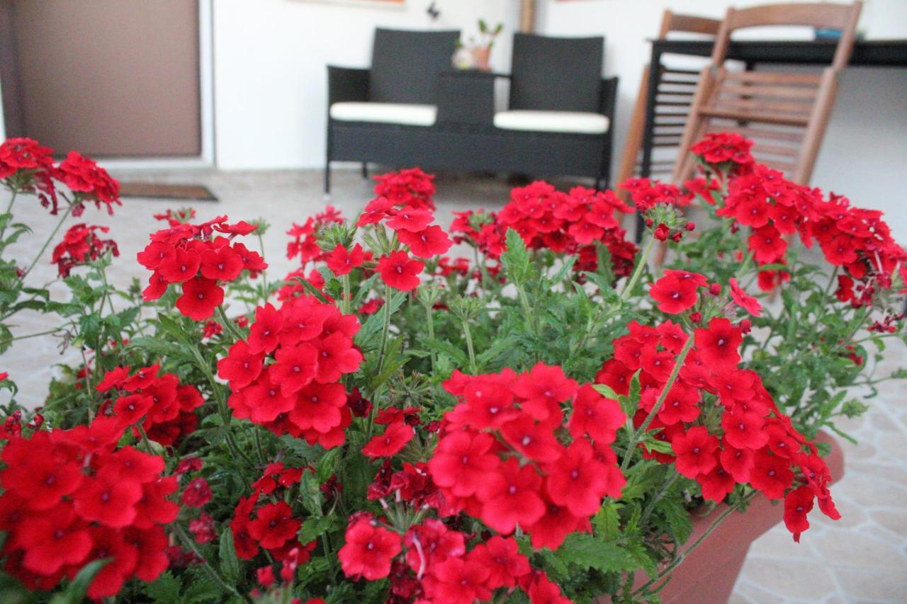 צ'טרארו B&B Verzavo מראה חיצוני תמונה